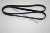 AUTOMEGA 30100490578 V-Ribbed Belts